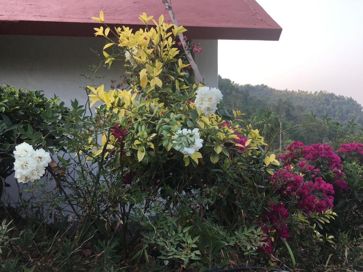Tea Terrace Vythiri Ξενοδοχείο Wayanad Εξωτερικό φωτογραφία