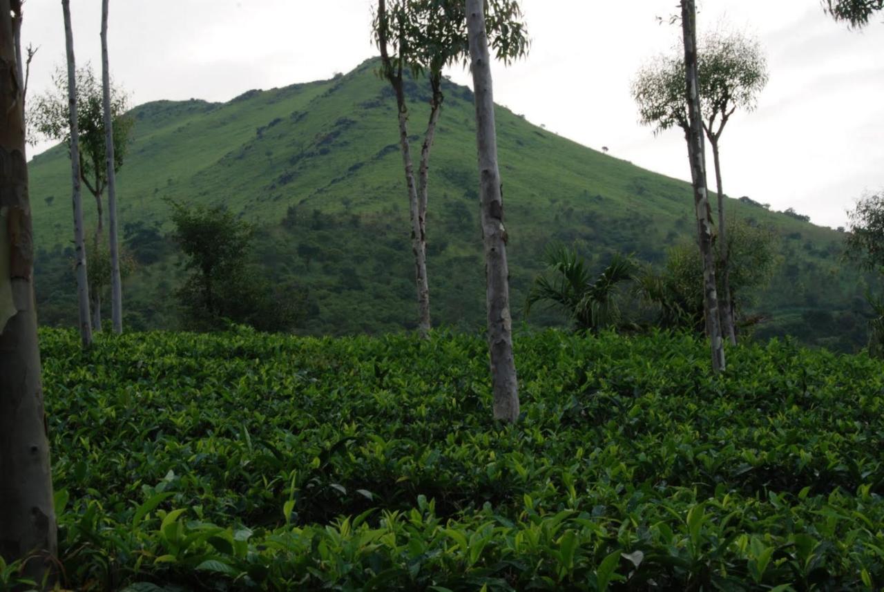 Tea Terrace Vythiri Ξενοδοχείο Wayanad Εξωτερικό φωτογραφία
