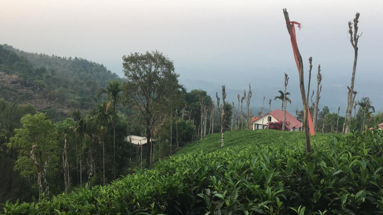 Tea Terrace Vythiri Ξενοδοχείο Wayanad Εξωτερικό φωτογραφία