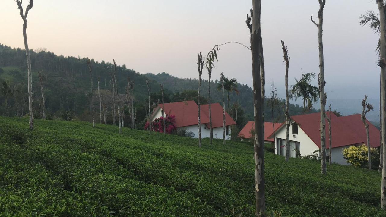 Tea Terrace Vythiri Ξενοδοχείο Wayanad Εξωτερικό φωτογραφία