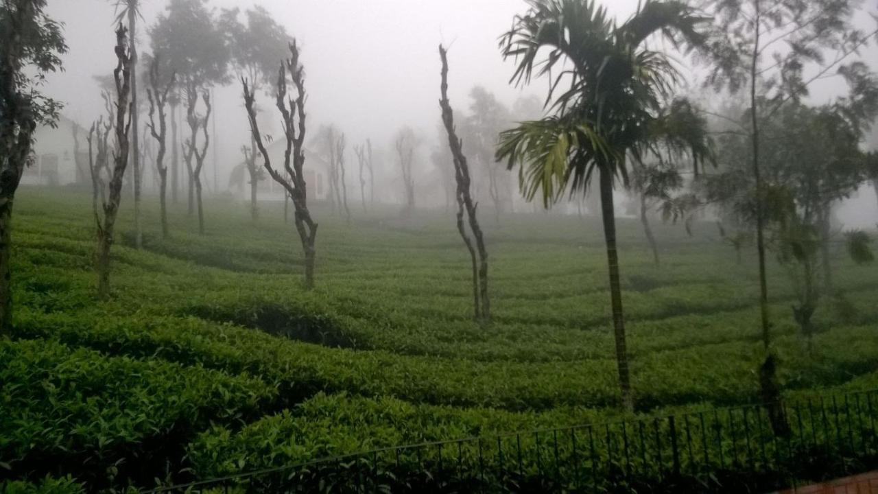 Tea Terrace Vythiri Ξενοδοχείο Wayanad Εξωτερικό φωτογραφία
