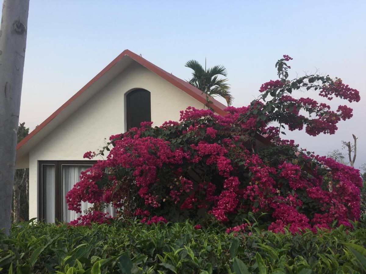 Tea Terrace Vythiri Ξενοδοχείο Wayanad Εξωτερικό φωτογραφία