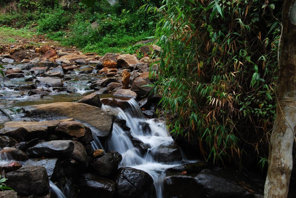 Tea Terrace Vythiri Ξενοδοχείο Wayanad Εξωτερικό φωτογραφία