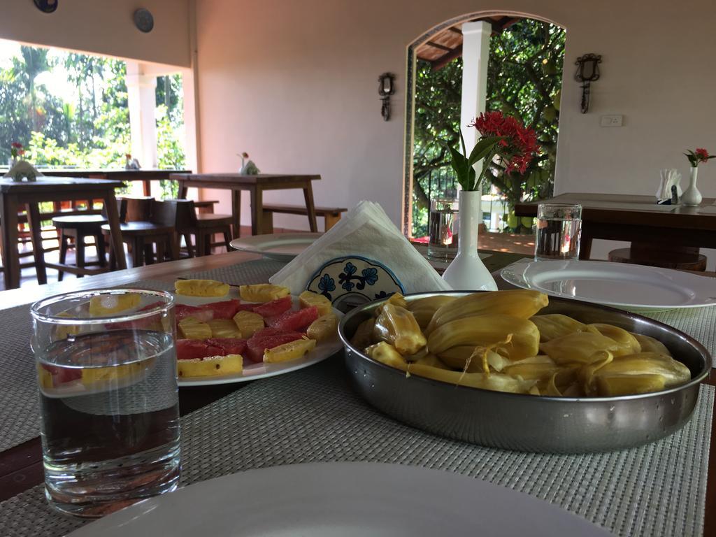 Tea Terrace Vythiri Ξενοδοχείο Wayanad Εξωτερικό φωτογραφία